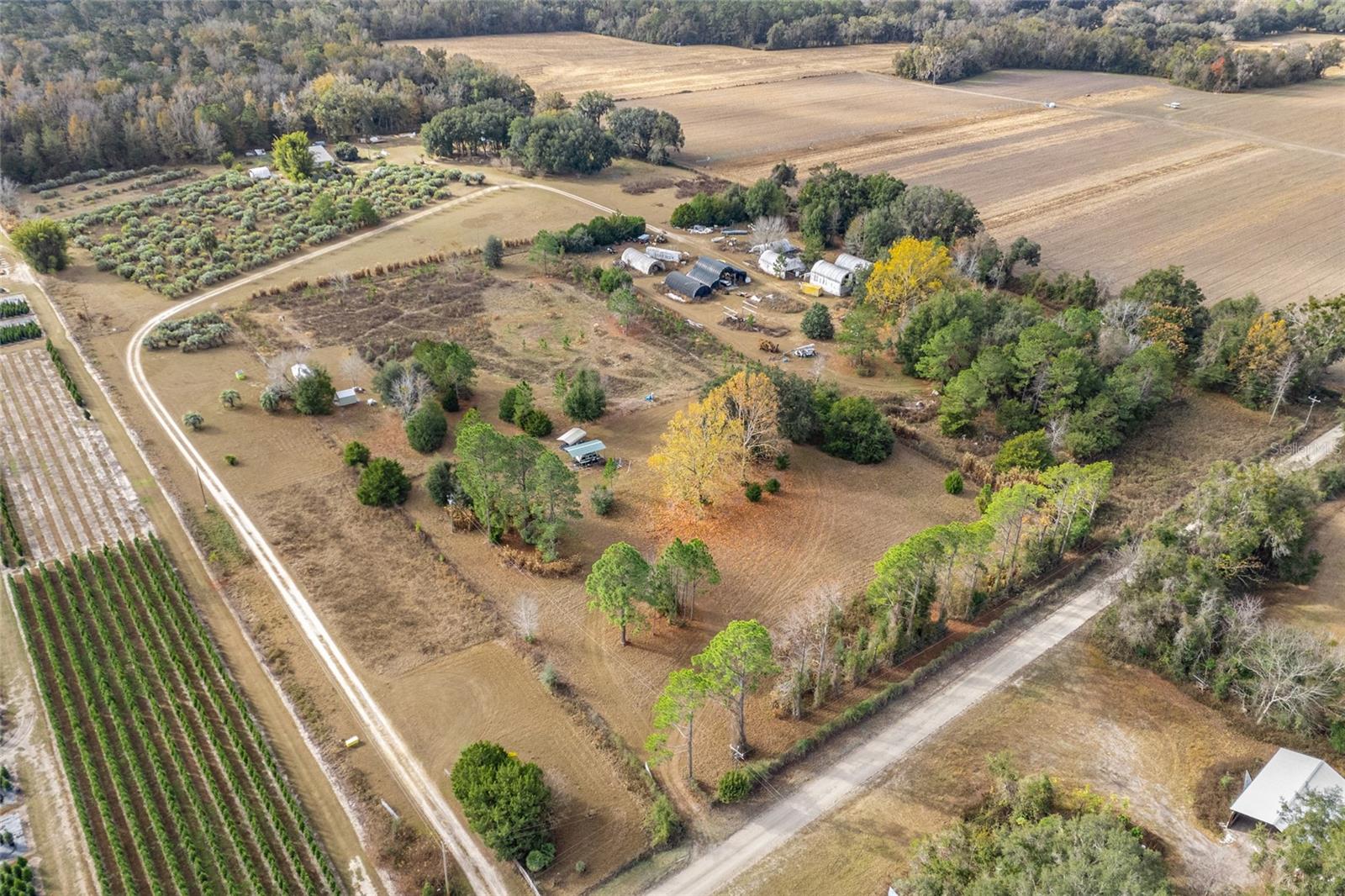 BLAND PLANTATION - Land