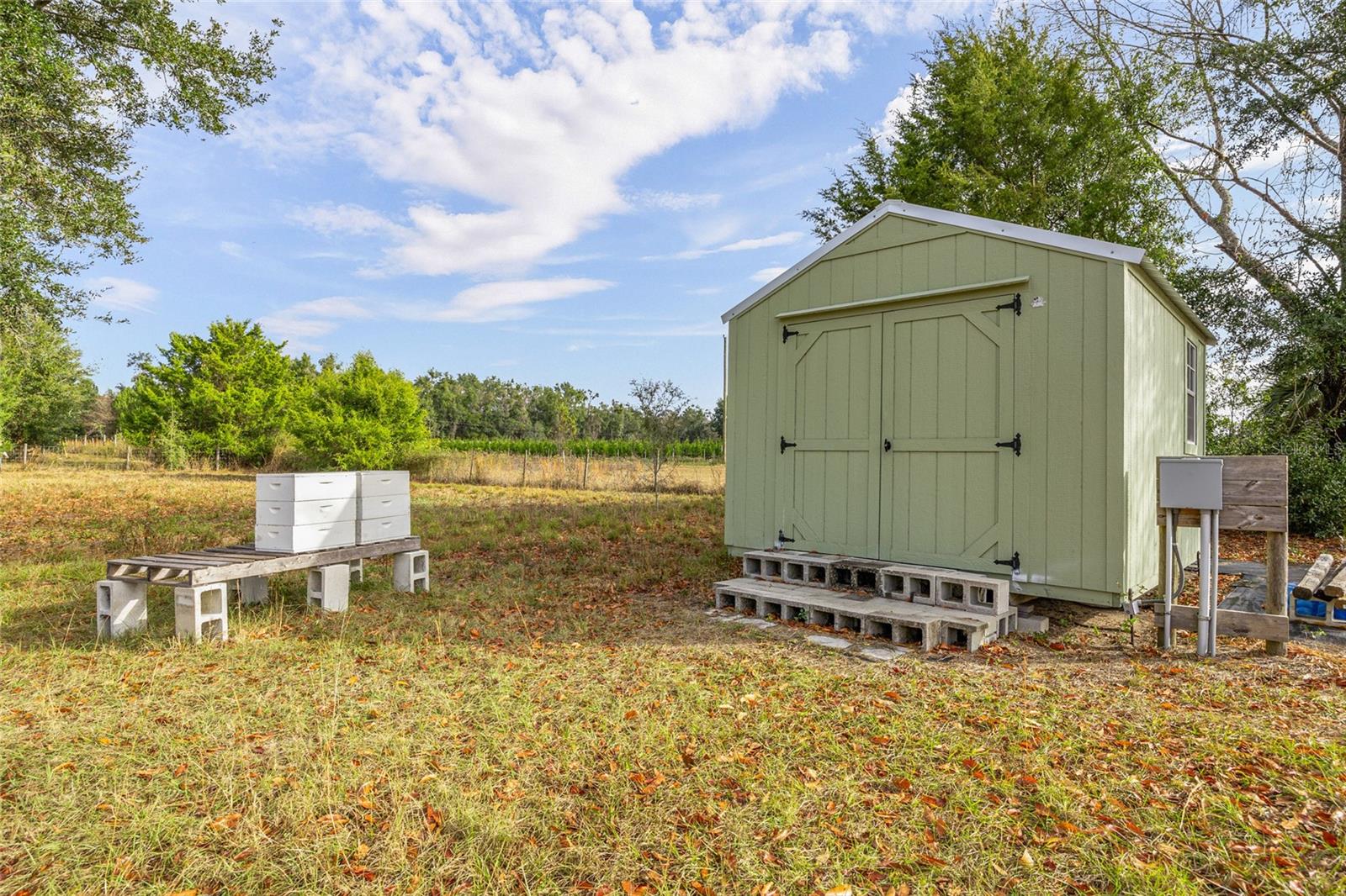 BLAND PLANTATION - Land