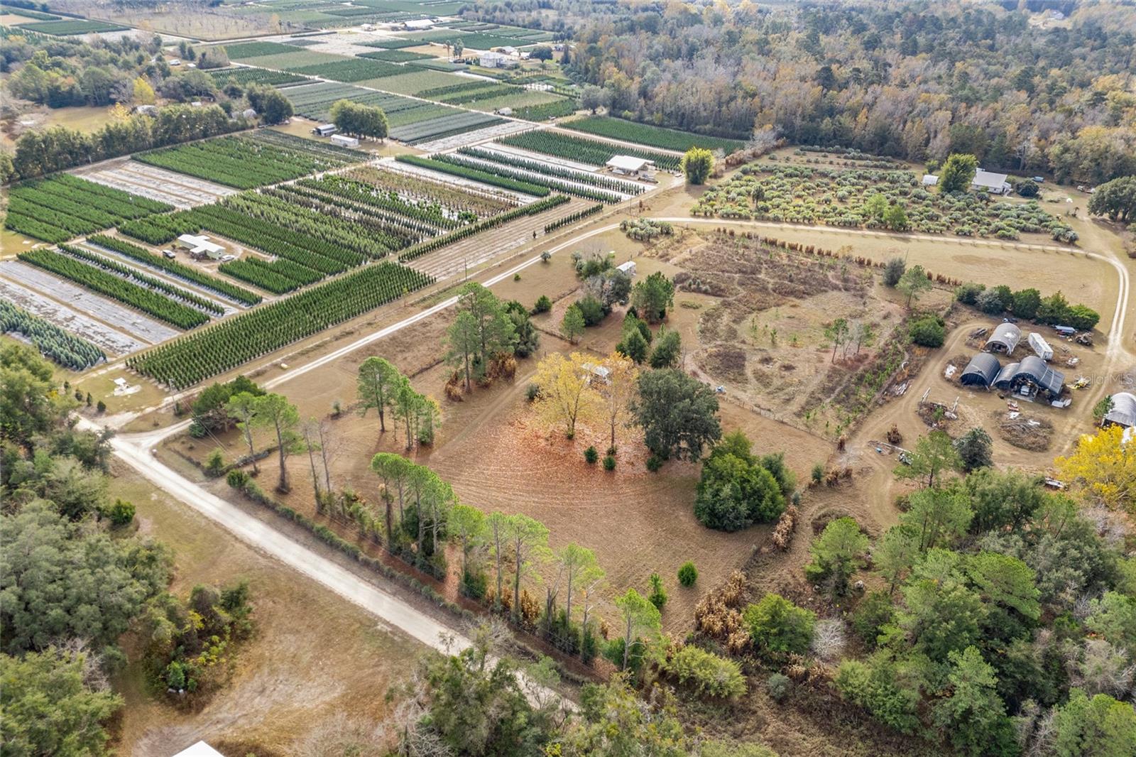 BLAND PLANTATION - Land