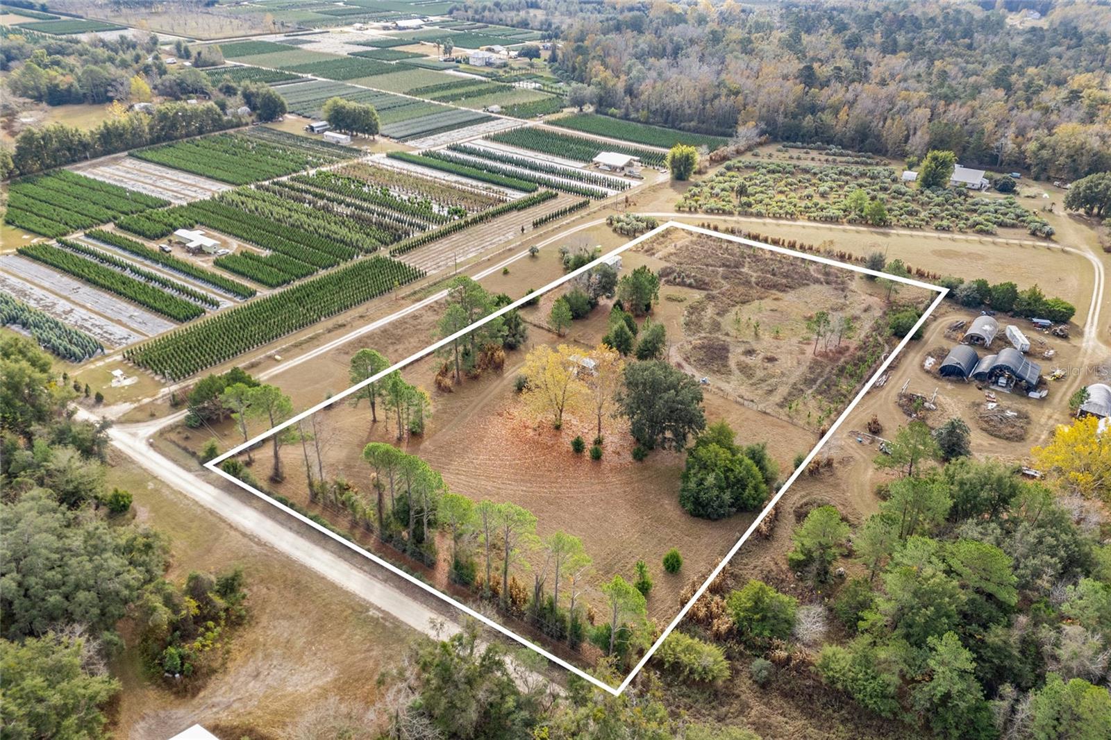 BLAND PLANTATION - Land