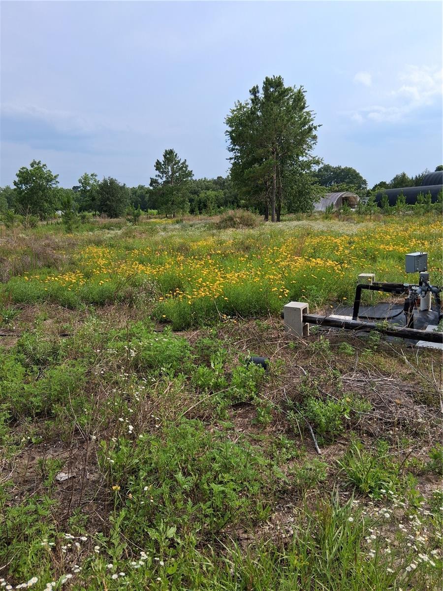 BLAND PLANTATION - Land