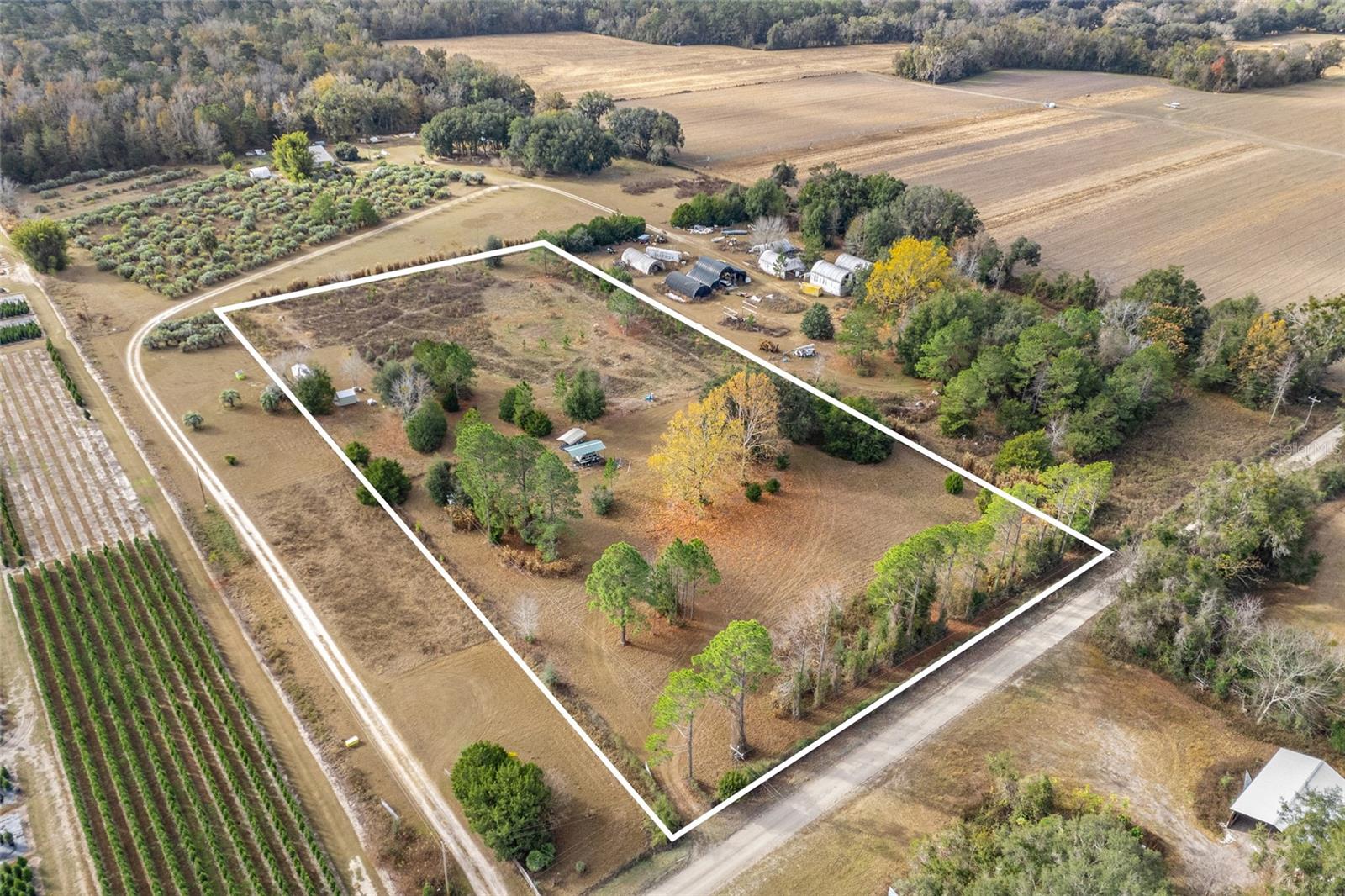 BLAND PLANTATION - Land