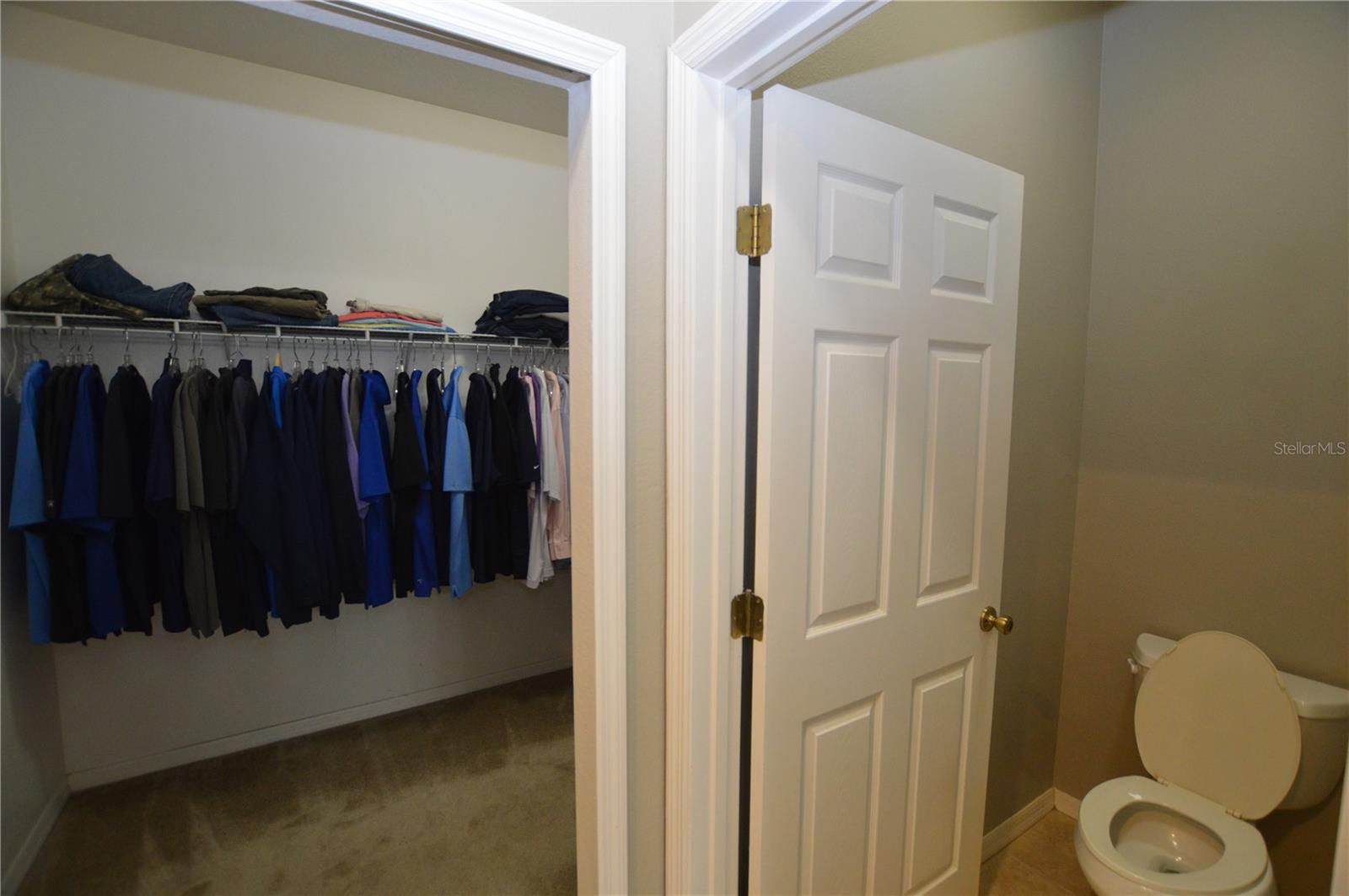 PALM COAST SECTION 31 - Residential