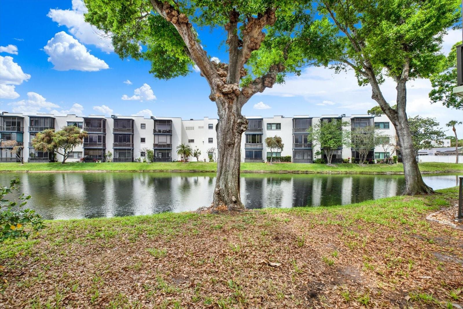 TERRACE PARK OF FIVE TOWNS - Residential