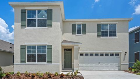 A home in MOUNT DORA