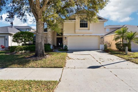 8051 SAINT JAMES WAY MOUNT DORA FL 32757