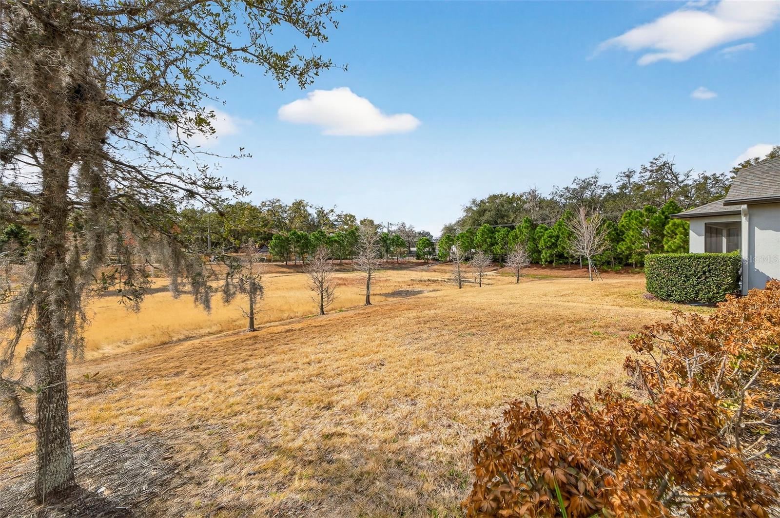 FLORABLU ESTATES - Residential