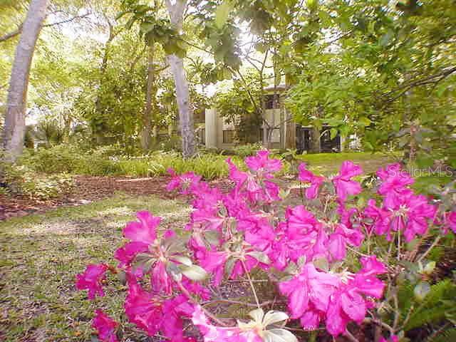 PELICAN COVE XII - Residential