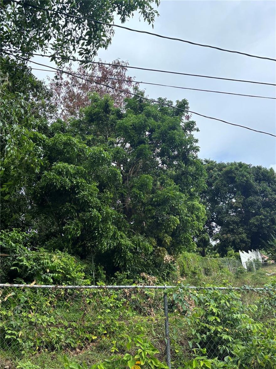 Vacant land with over 20,000 square meters. Potential for new construction and for low impact farming. Surrounded of vegetation and calm community. Excellent ubication near primary roads and highways.