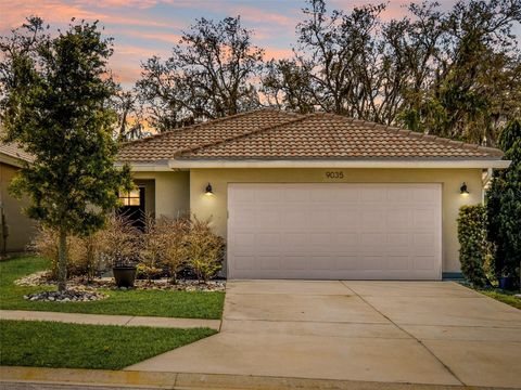 9035 SAINT ANDREWS WAY MOUNT DORA FL 32757