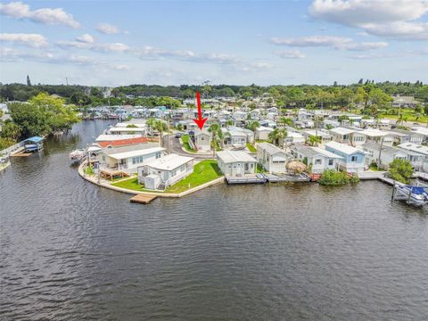 A home in PALM HARBOR