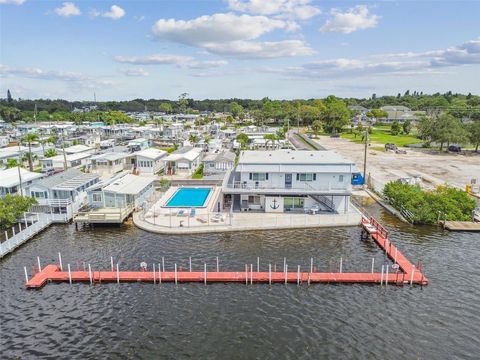 A home in PALM HARBOR