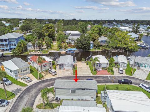 A home in PALM HARBOR