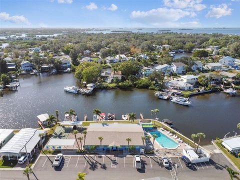 A home in PALM HARBOR