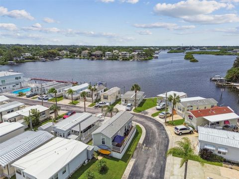 A home in PALM HARBOR