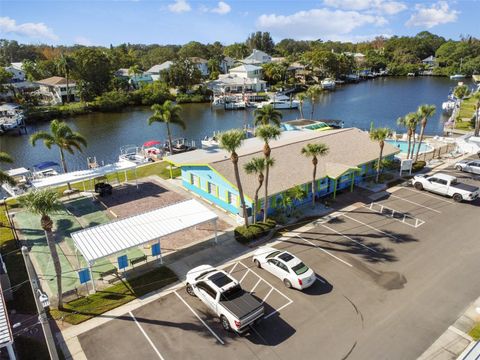 A home in PALM HARBOR