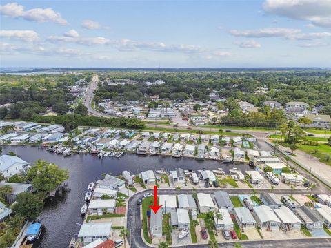 A home in PALM HARBOR