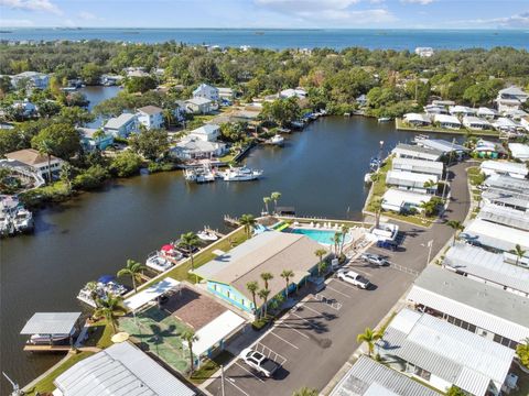 A home in PALM HARBOR