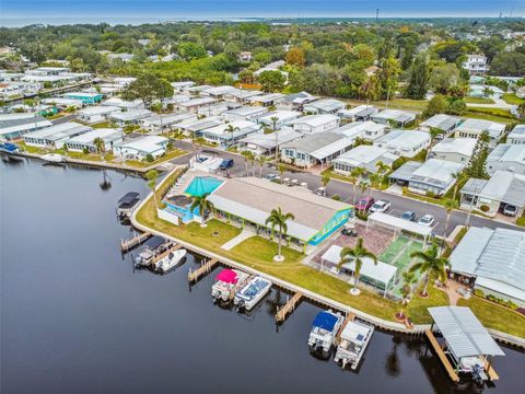 A home in PALM HARBOR