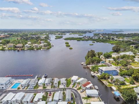 A home in PALM HARBOR