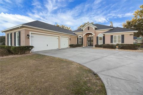 Photo of 1102 Myrtle Breezes Court, Fruitland Park, FL 34731 (MLS # G5107772)