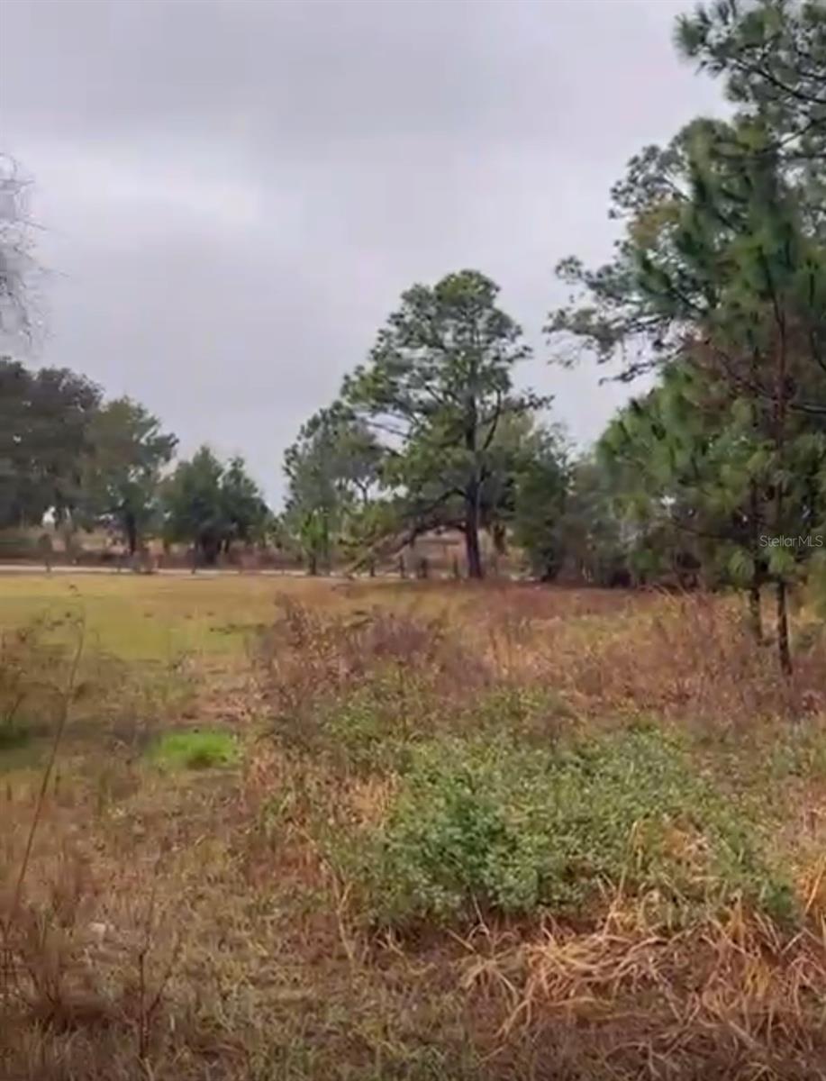 226 HUNTING SHORTCUT ROAD