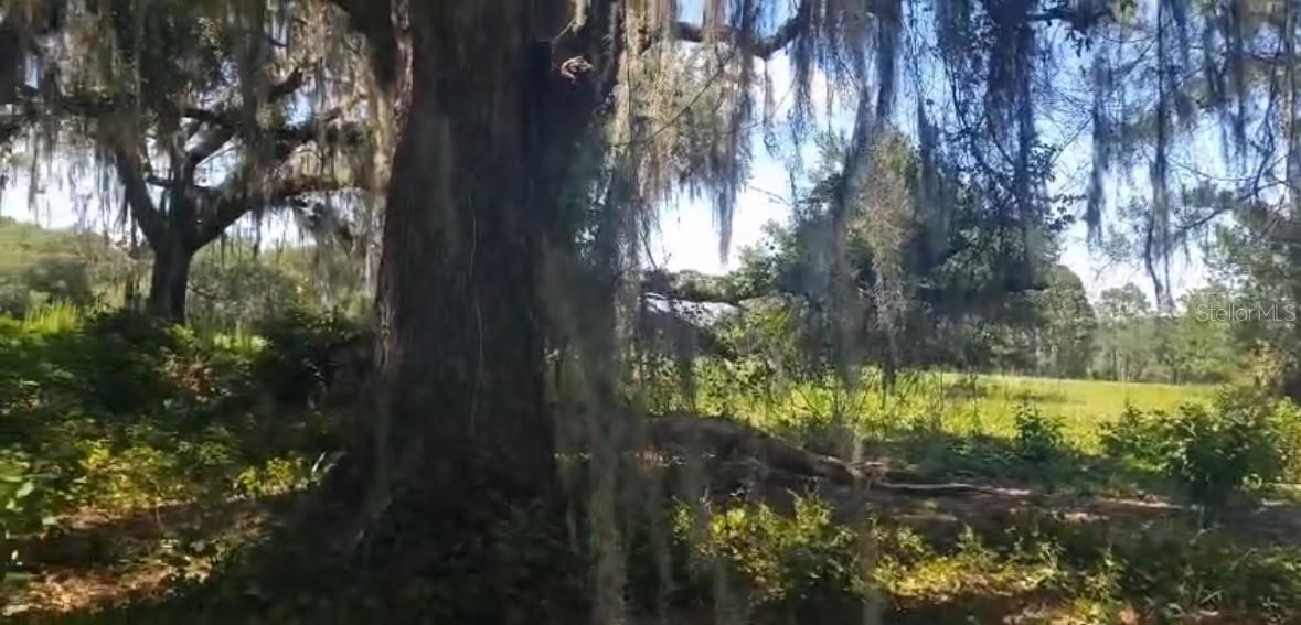 226 HUNTING SHORTCUT ROAD