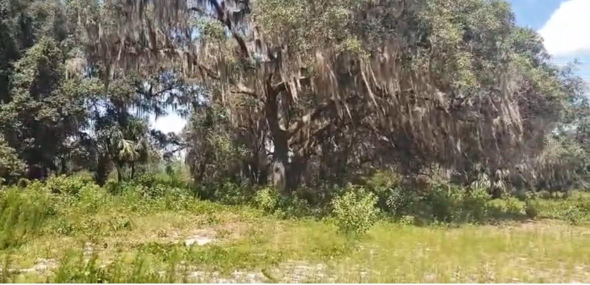 226 HUNTING SHORTCUT ROAD