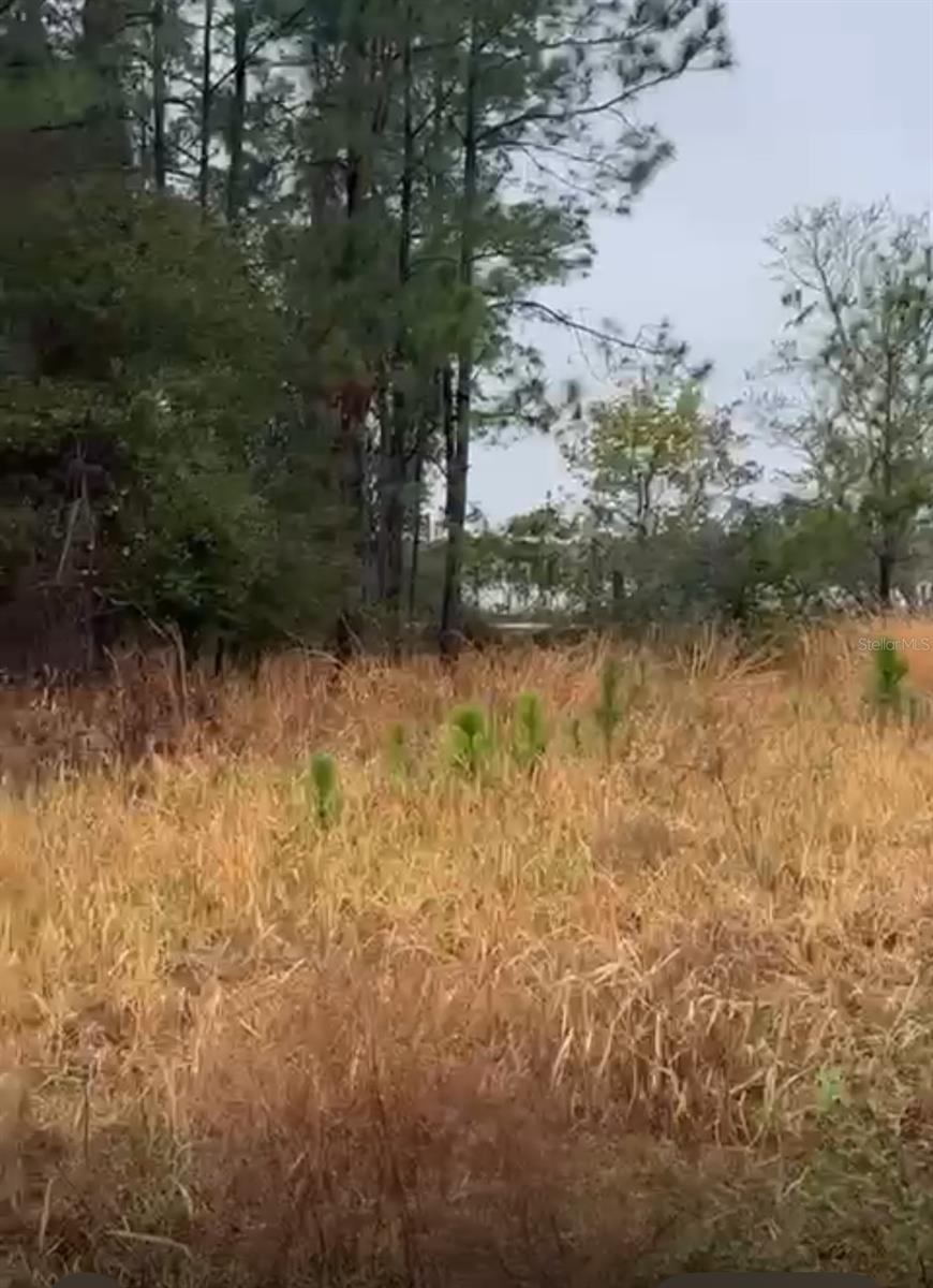 226 HUNTING SHORTCUT ROAD