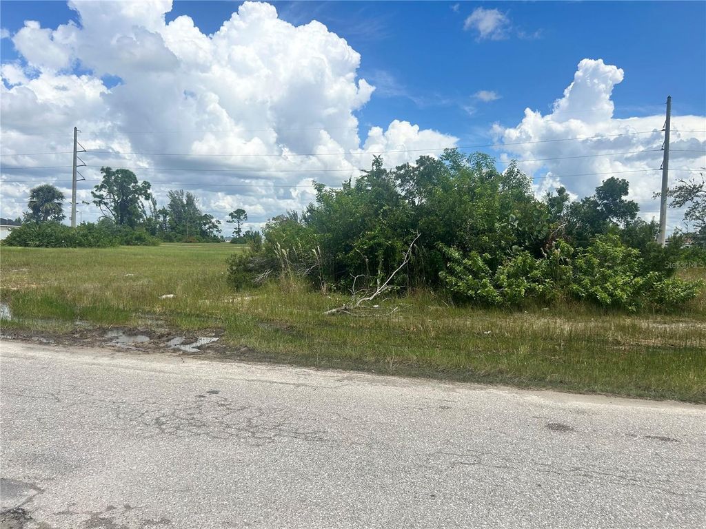 Photo of 1219 NW 24th Place, Cape Coral, FL 33993 (MLS # TB8419456)