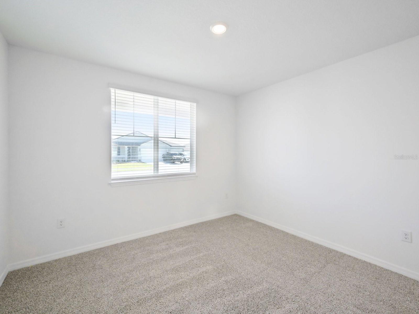 3815 ORANGE FOREST LANE