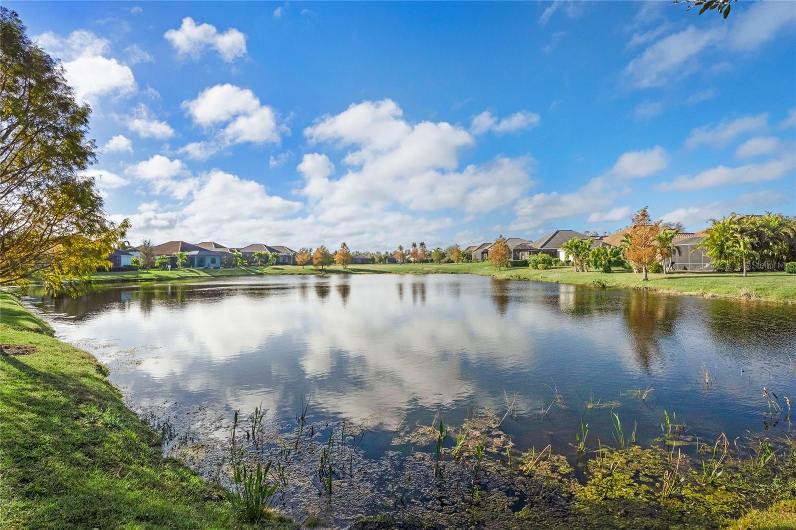 INDIGO PH IV & V - Residential