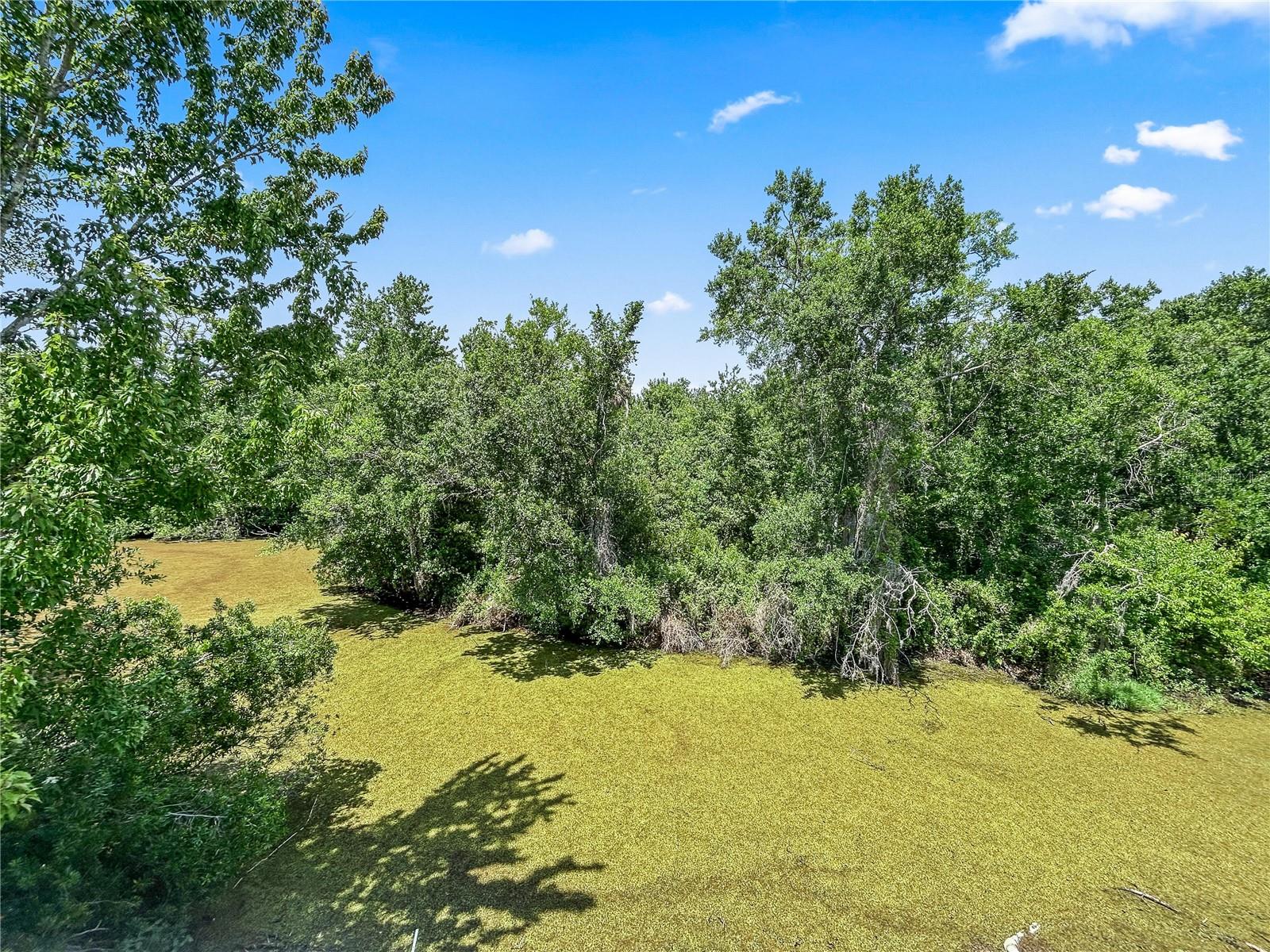BRIAR PATCH - Residential