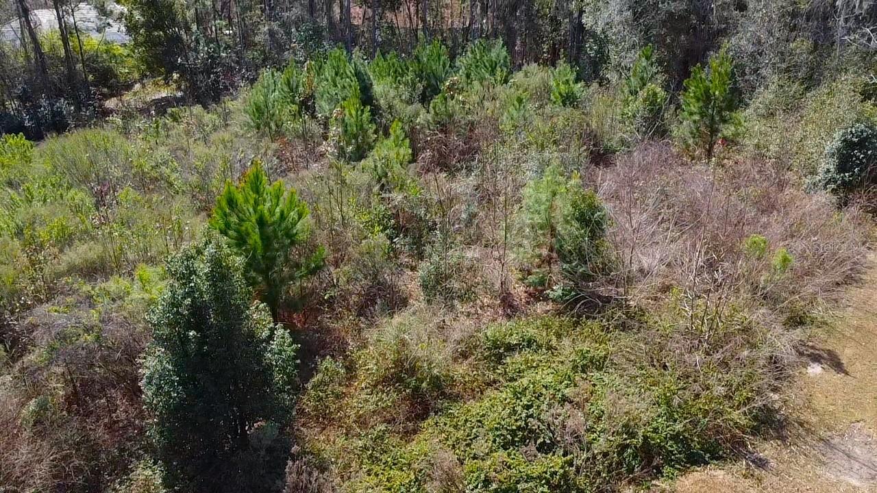 WOODLANDS AT BELLECHASE - Land