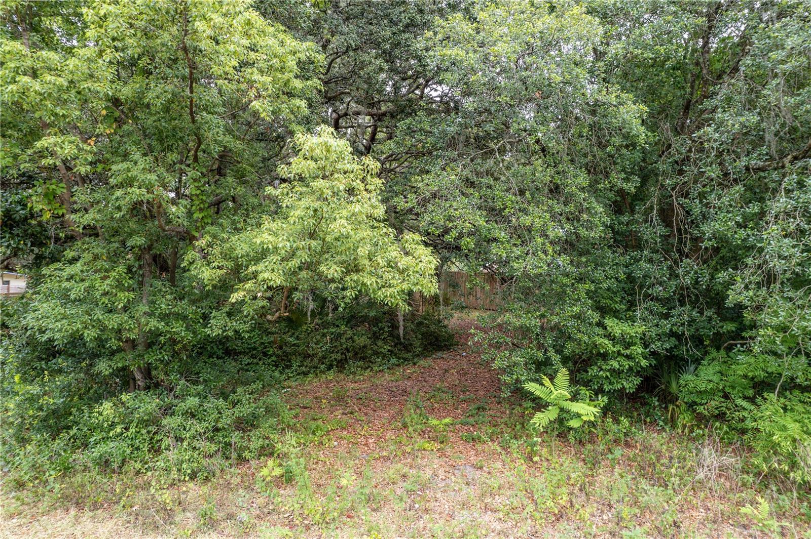 MOUNT PLYMOUTH - Land