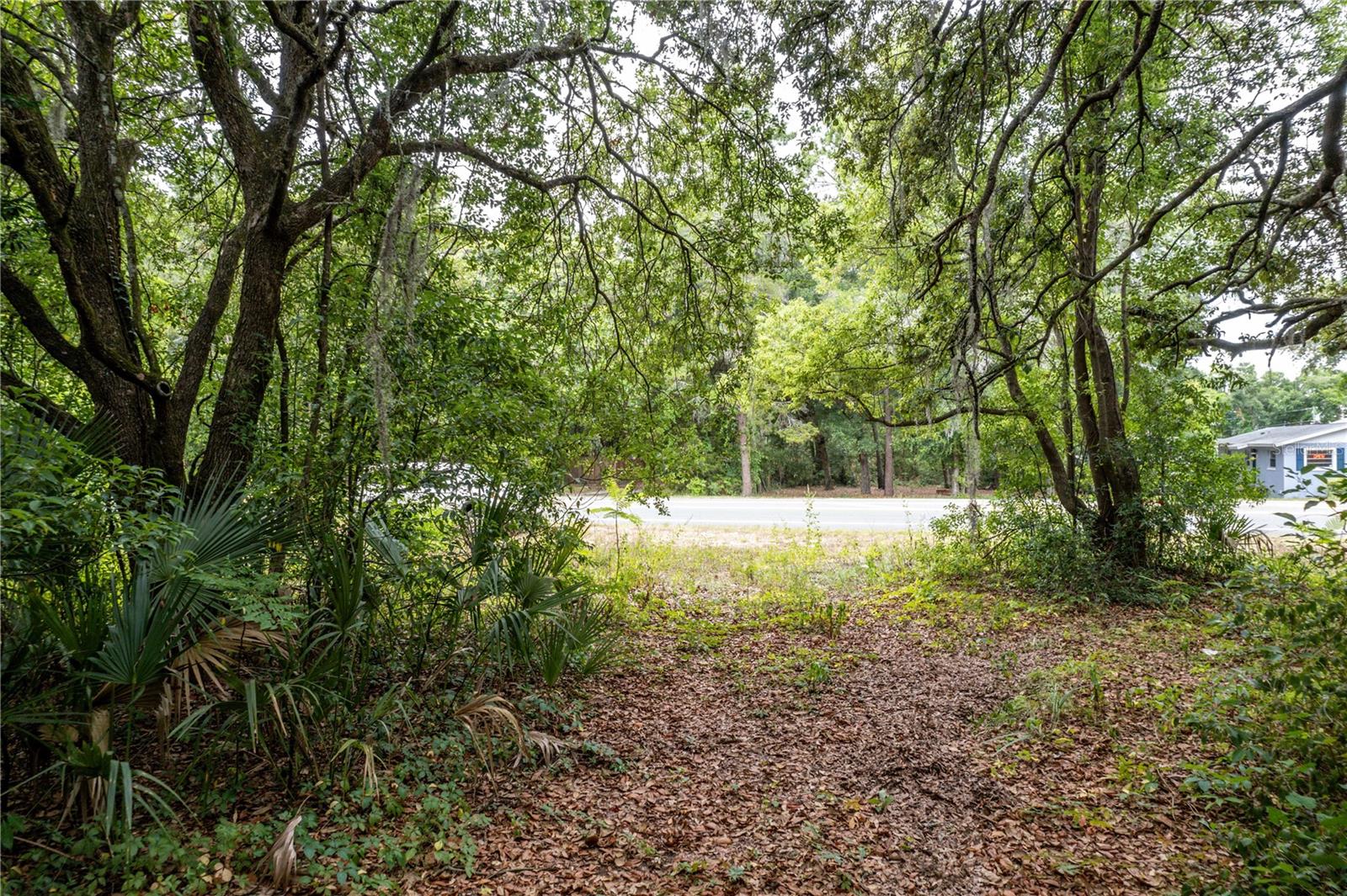 MOUNT PLYMOUTH - Land