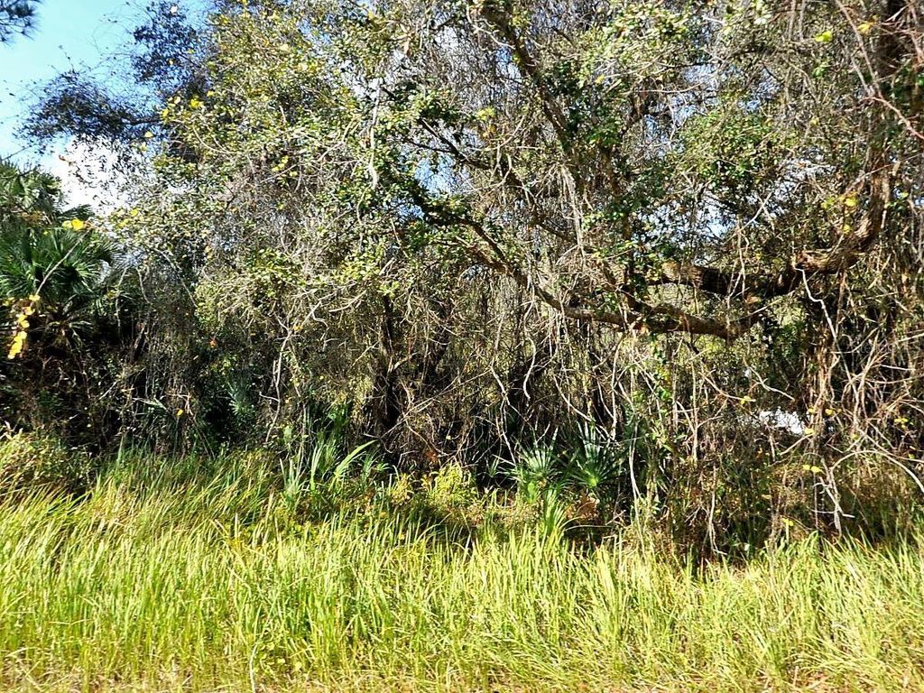 Photo of Kacher Road, North Port, FL 34288 (MLS # D6146601)