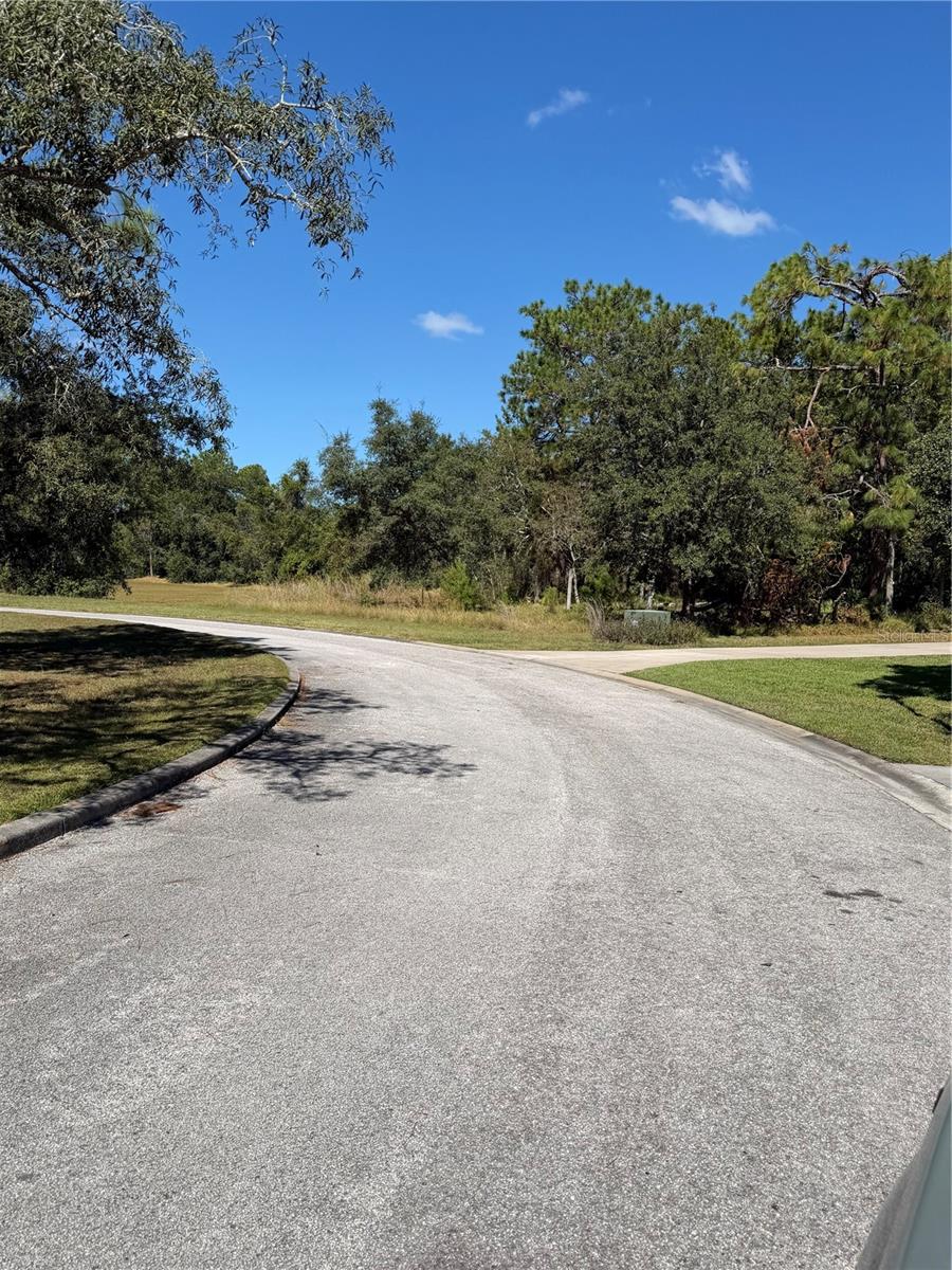 WEDGEWOOD ESTATES - Land