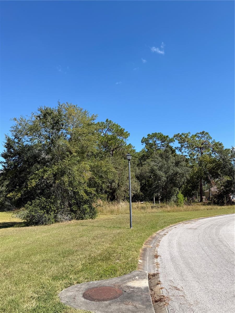 WEDGEWOOD ESTATES - Land