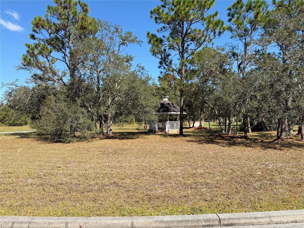 Photo of 4289 Lordings Lane, Spring Hill, FL 34607 (MLS # S5136991)