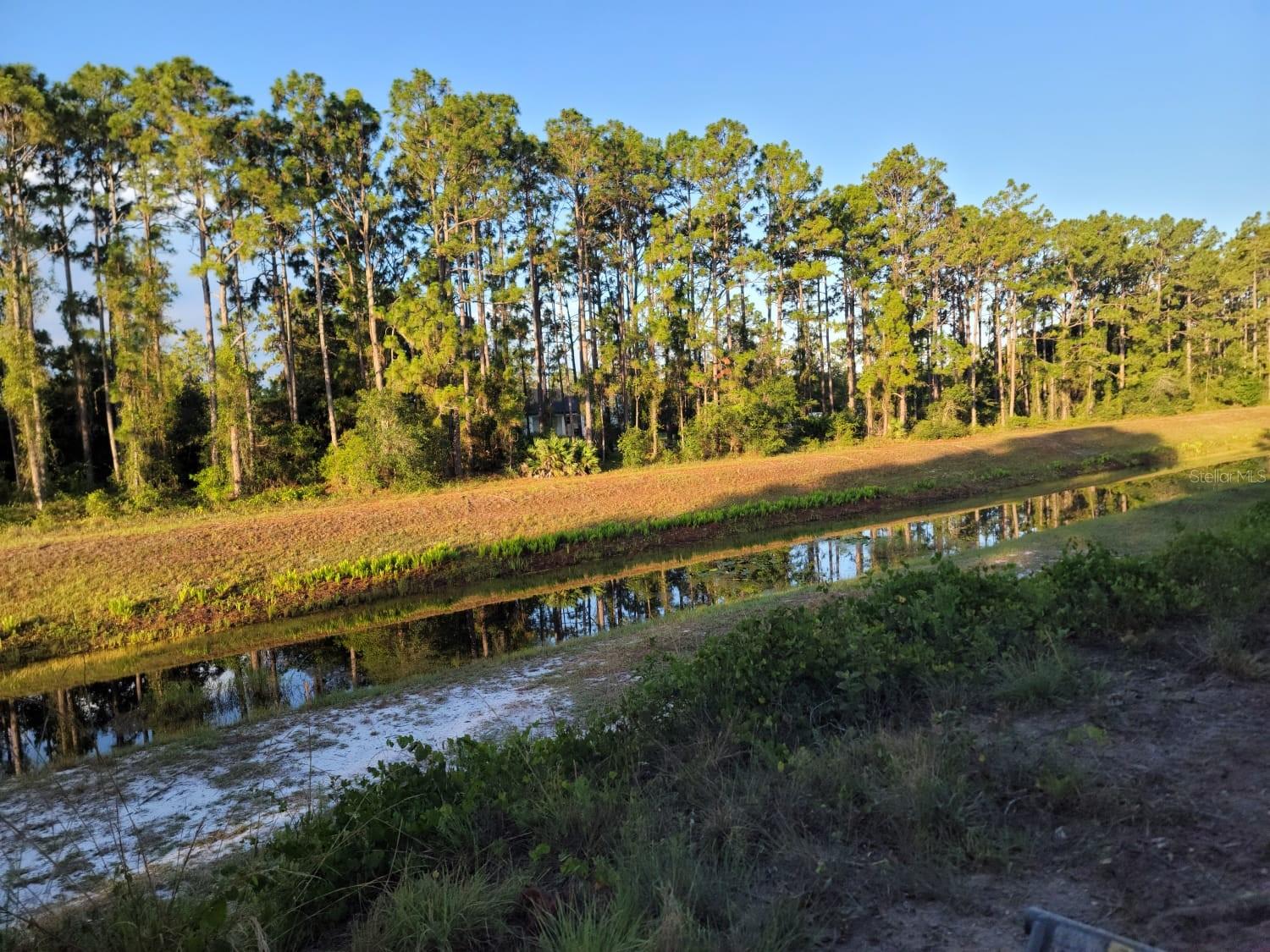 Discover your dream home site on Quarterly Pkwy in the peaceful community of Wedgefield. This vacant residential lot presents an exciting
opportunity to build your ideal home in a growing area of Florida. Located just minutes from the scenic Hal Scott Preserve, this property offers a perfect blend of natural surroundings and convenient access to modern amenities. The location is particularly appealing, with easy access to
essential services and attractions. Orange County Academy is nearby, making this an excellent choice for all households. Daily conveniences are well within reach, including Publix Super Market at Avalon Park for your grocery needs. Nature enthusiasts will appreciate being just a short drive from Hal Scott Preserve, where you can enjoy Florida's natural beauty through various outdoor activities. The property's strategic location also provides convenient access to shopping centers, restaurants, and major roadways, making commuting a breeze. Theme parks and Orlando's major attractions are easily accessible, adding to the property's appeal for both permanent residents and potential vacation home builders. The surrounding area continues to develop, making this an opportune time to invest in your future home site. This blank canvas awaits your vision, offering the chance to create a home that perfectly matches your lifestyle and preferences. Whether you're planning to build now or in the future, this property presents a solid foundation for your dreams in a location that combines convenience with natural charm.