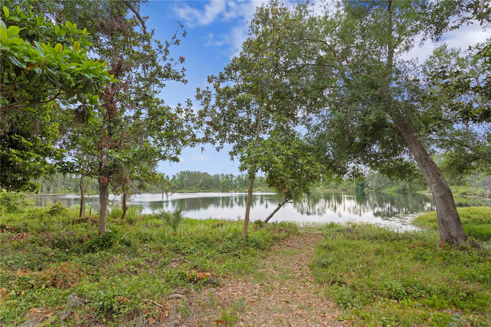 LAKEVIEW/CITRUS PARK - Residential