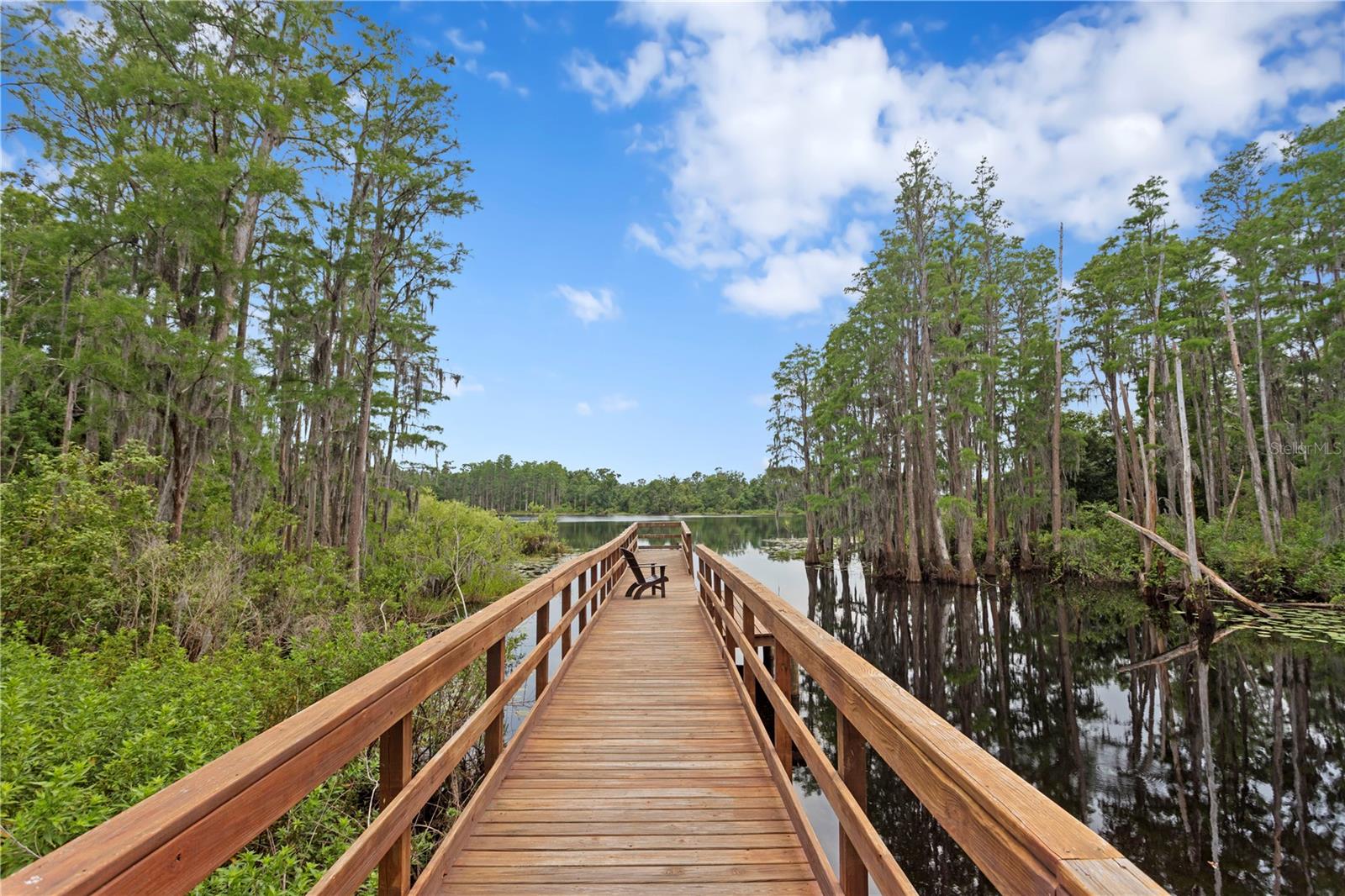 LAKEVIEW/CITRUS PARK - Residential