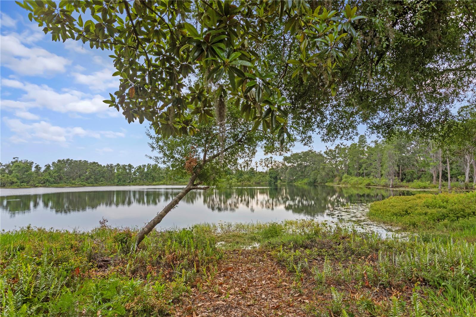 LAKEVIEW/CITRUS PARK - Residential