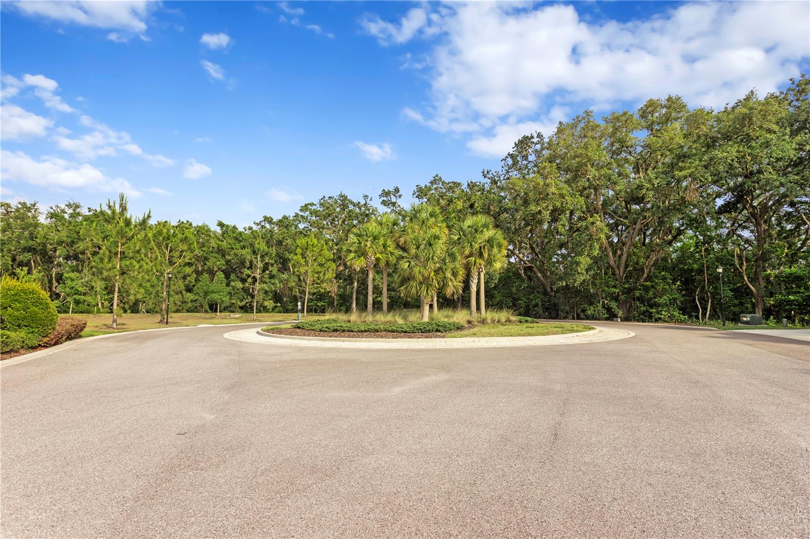 LAKEVIEW/CITRUS PARK - Residential