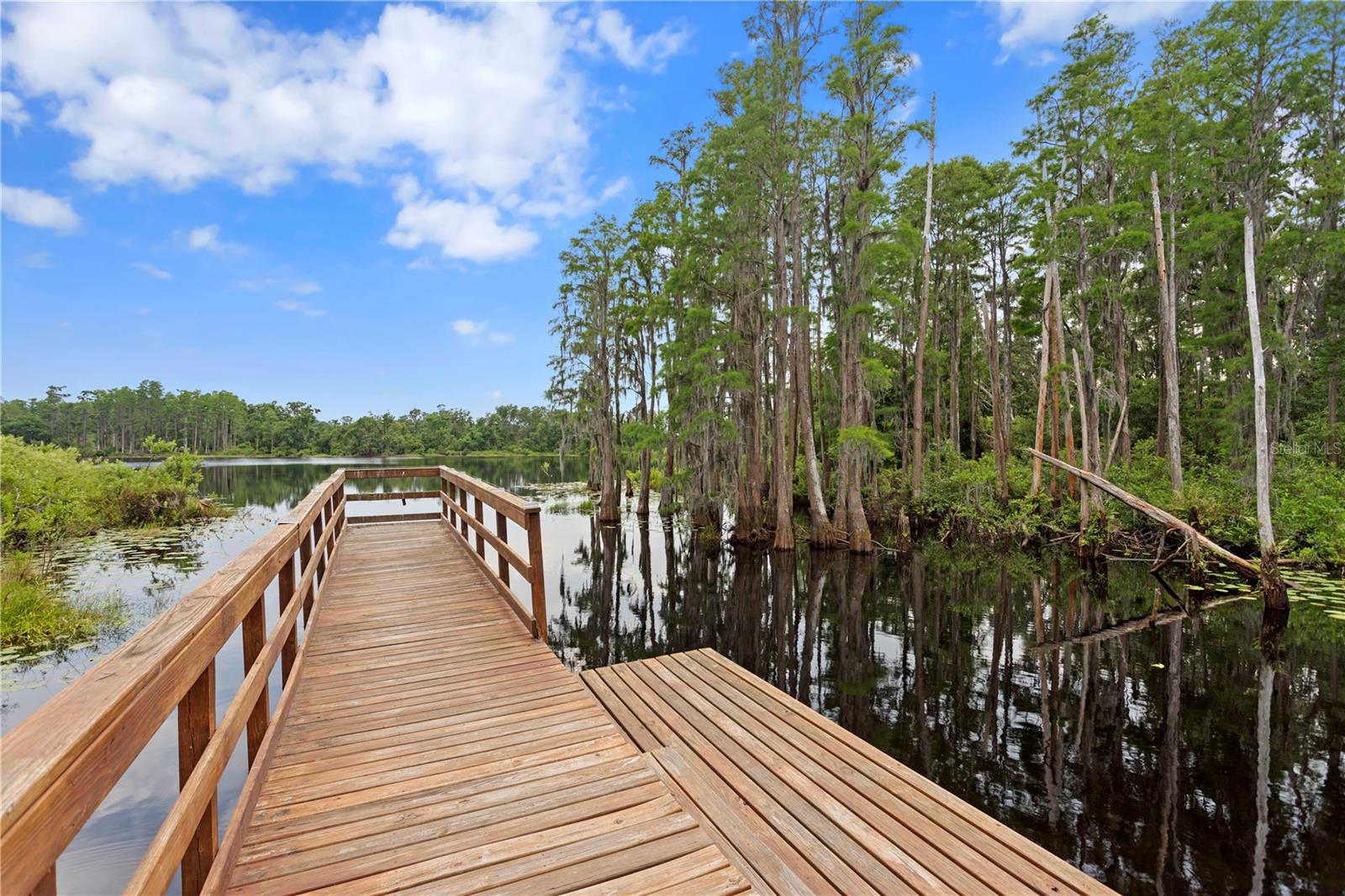 LAKEVIEW/CITRUS PARK - Residential