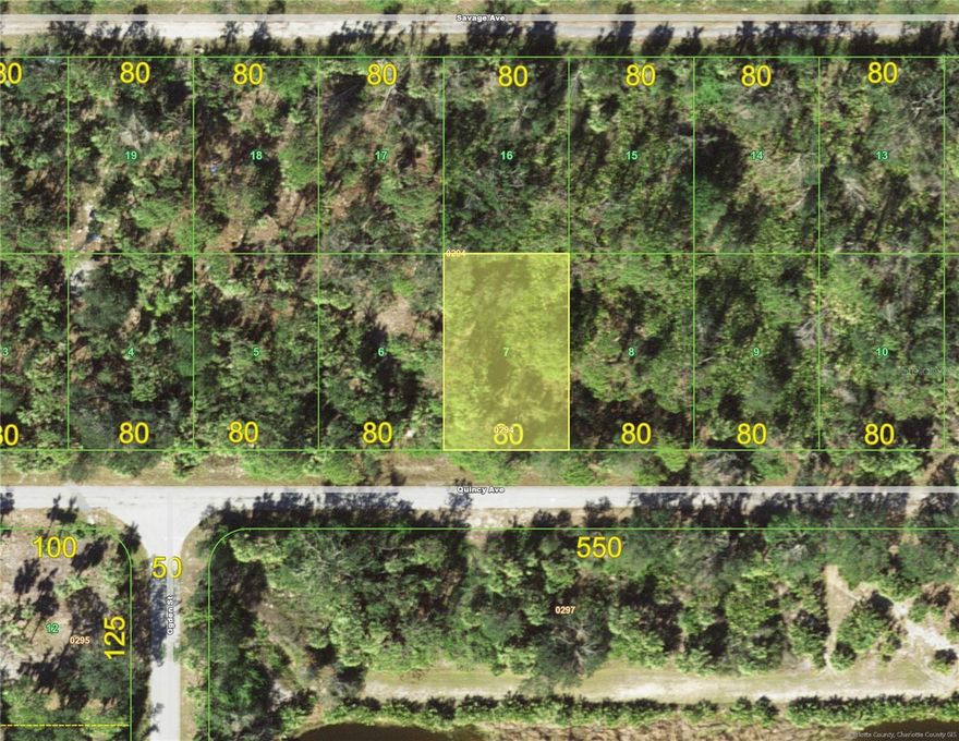PORT CHARLOTTE - An EXCELLENT LOCATION &  EXCELLENT PRICE, for a quiet growing residential area, with just minutes to Port Charlotte Town Center, shopping, restaurants, schools, Tampa Bay Rays baseball, beaches, marinas, boat ramp, multiple golf courses, great access to US 41 (Tamiami Tr) and I-75;