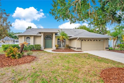 Photo of 3404 River Woods Drive, Parrish, FL 34219 (MLS # O6405563)