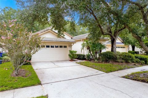 A home in TAMPA