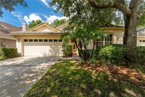 A home in TAMPA